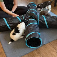 processed/7193ce7d-8c0c-4745-a798-06870f713239/facility/f550251c-6313-48cf-b61f-22ccd2404a0f