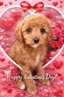 processed/7193ce7d-8c0c-4745-a798-06870f713239/listing/1c45f933-4a1b-4be3-bb0e-656af6d5c85b/0c7bada5-7246-49ca-900a-b0cea87576ef