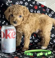 processed/7193ce7d-8c0c-4745-a798-06870f713239/listing/1c45f933-4a1b-4be3-bb0e-656af6d5c85b/58c99cfe-cfe8-49bd-aa30-888c45220954