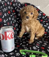 processed/7193ce7d-8c0c-4745-a798-06870f713239/listing/1c45f933-4a1b-4be3-bb0e-656af6d5c85b/9fbf876b-04ee-4a32-90c6-60a4f55704f5