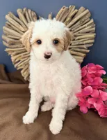 processed/7193ce7d-8c0c-4745-a798-06870f713239/listing/586a43e1-73ba-44c8-9987-d7dcebbcfb7d/226008c2-ba71-4763-bae1-7d3e7c6314ee