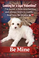 processed/7193ce7d-8c0c-4745-a798-06870f713239/listing/586a43e1-73ba-44c8-9987-d7dcebbcfb7d/d3d372ee-a111-463d-8234-e9fa64bdb705