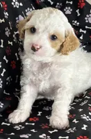 processed/7193ce7d-8c0c-4745-a798-06870f713239/listing/586a43e1-73ba-44c8-9987-d7dcebbcfb7d/dbd8ae5f-3273-47cb-b6c6-5107172d09e2