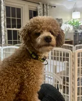 processed/7193ce7d-8c0c-4745-a798-06870f713239/listing/f4f020a7-dc33-4876-8cc6-b8daf3abacc9/330cb063-63b6-4b8c-801b-be174dbc8df4