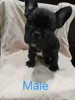 processed/719955aa-5521-476c-961a-6a910ba3acad/listing/d85248c4-64ec-4c85-bd4c-651a5714afc9/a3237f36-7cdd-4498-8a81-f1fbb9e2a869