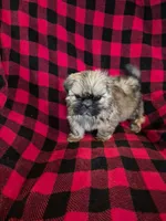 processed/71a70ba0-4340-452e-8e23-b0d2ab5d155a/listing/00c1ff1f-d108-44e6-8497-7b43c124db17/6d5f29fe-16e0-4d9d-a4f6-fbd6aa1973c2