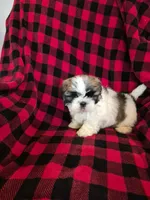 processed/71a70ba0-4340-452e-8e23-b0d2ab5d155a/listing/00c1ff1f-d108-44e6-8497-7b43c124db17/e79e47f4-260f-4cea-a507-ddcd32bbc470