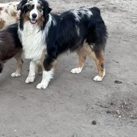 processed/71a96451-93f5-486c-b48c-64cc529d37aa/facility/07a25a56-359c-423b-8a37-ad3663c61f0e