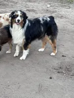 processed/71a96451-93f5-486c-b48c-64cc529d37aa/facility/07a25a56-359c-423b-8a37-ad3663c61f0e