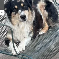 processed/71a96451-93f5-486c-b48c-64cc529d37aa/facility/73a624d5-5764-49d1-bf52-99b97ce158bb