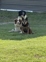 processed/71a96451-93f5-486c-b48c-64cc529d37aa/facility/9f61bc21-40cf-4822-8aee-930c34dfea82