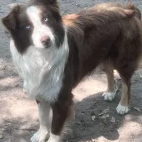 processed/71a96451-93f5-486c-b48c-64cc529d37aa/facility/b1d4f099-0988-4d0c-a0f5-063271f4f3a5