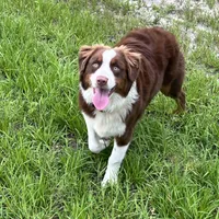 processed/71a96451-93f5-486c-b48c-64cc529d37aa/facility/b5f172fc-3564-4248-bc47-fe663948cf48