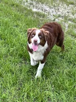 processed/71a96451-93f5-486c-b48c-64cc529d37aa/facility/b5f172fc-3564-4248-bc47-fe663948cf48