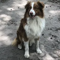 processed/71a96451-93f5-486c-b48c-64cc529d37aa/facility/bdbdac32-2f58-4375-bbf0-55a744e384b3