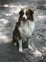 processed/71a96451-93f5-486c-b48c-64cc529d37aa/facility/bdbdac32-2f58-4375-bbf0-55a744e384b3