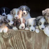 processed/71a96451-93f5-486c-b48c-64cc529d37aa/facility/cac5be2a-e5ae-4b74-b1a2-7660800056b4