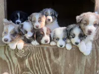 processed/71a96451-93f5-486c-b48c-64cc529d37aa/facility/cac5be2a-e5ae-4b74-b1a2-7660800056b4