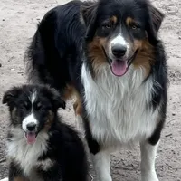 processed/71a96451-93f5-486c-b48c-64cc529d37aa/facility/ef531a01-be73-4527-9b2a-015c45bd1c46