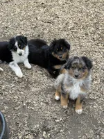 processed/71a96451-93f5-486c-b48c-64cc529d37aa/facility/f061865f-613e-42d3-8cc7-e8fc445ae8d6