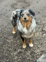 processed/71a96451-93f5-486c-b48c-64cc529d37aa/facility/fb0a233f-f8ec-41d6-9d44-e98af5cb7d85