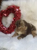 processed/71a96451-93f5-486c-b48c-64cc529d37aa/listing/06989e2f-99e6-4d49-ae54-cef743d0d113/0bec45a0-17ec-43c0-acce-1cf6fe7c6d70