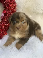 processed/71a96451-93f5-486c-b48c-64cc529d37aa/listing/06989e2f-99e6-4d49-ae54-cef743d0d113/be8fa6fd-4e1d-4412-8ffd-f71173f15aaf