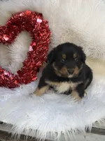 processed/71a96451-93f5-486c-b48c-64cc529d37aa/listing/670c645e-4249-4251-961b-6e07b0ee4683/3656b57b-6d9f-4fcf-ba5e-c73048787f66