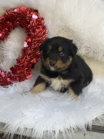 processed/71a96451-93f5-486c-b48c-64cc529d37aa/listing/670c645e-4249-4251-961b-6e07b0ee4683/a7353c51-4c80-4ca3-9c85-51e308abc303