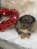 processed/71a96451-93f5-486c-b48c-64cc529d37aa/listing/8f5b160d-4c5b-40d7-a6d1-a2d695ba1cad/b5887562-9116-4d40-b7ce-5e9a509f52f3