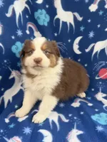 processed/71a96451-93f5-486c-b48c-64cc529d37aa/listing/ad3cc1a9-19ba-400c-8b1a-a79fd5fe21d5/1e14e46f-cabd-4563-b806-663cf2fd4f2c