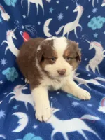 processed/71a96451-93f5-486c-b48c-64cc529d37aa/listing/ad3cc1a9-19ba-400c-8b1a-a79fd5fe21d5/24100cc2-0251-4d4a-b005-733b4ce32481