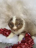 processed/71a96451-93f5-486c-b48c-64cc529d37aa/listing/e30ac287-db6a-46f6-964f-ca70de6f47f5/d0227873-47f7-46be-9645-bb4c9cc59e1b