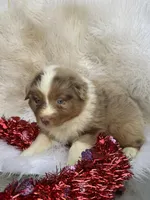 processed/71a96451-93f5-486c-b48c-64cc529d37aa/listing/e30ac287-db6a-46f6-964f-ca70de6f47f5/df19a568-e9c4-4ba5-aad2-4350bfa90308