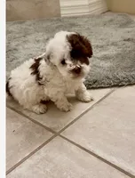 processed/71affe74-1858-4aea-82c0-426eb45e5182/listing/e17b4abf-8bea-4e68-89e0-effa1d3d922f/57f4fb1e-04fa-4778-b942-72ec113e79c8