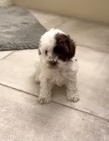 processed/71affe74-1858-4aea-82c0-426eb45e5182/listing/e17b4abf-8bea-4e68-89e0-effa1d3d922f/59acf4cf-2c88-412c-bbc1-61d54b1ac1b9