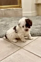 processed/71affe74-1858-4aea-82c0-426eb45e5182/listing/e17b4abf-8bea-4e68-89e0-effa1d3d922f/7829d8b3-6331-48bd-a471-215b2a9151d4