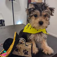 processed/71b14253-9ee1-4589-b751-29b07f515036/facility/5c45d8d2-75bc-4af4-8f1a-84e4e33fe01a