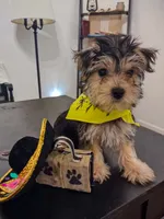 processed/71b14253-9ee1-4589-b751-29b07f515036/facility/5c45d8d2-75bc-4af4-8f1a-84e4e33fe01a