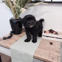 processed/71b14253-9ee1-4589-b751-29b07f515036/facility/a2910f91-5584-47e9-bc26-dcd786a1a505