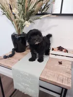 processed/71b14253-9ee1-4589-b751-29b07f515036/facility/a2910f91-5584-47e9-bc26-dcd786a1a505