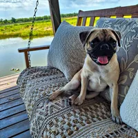 processed/71b14253-9ee1-4589-b751-29b07f515036/facility/e2a339ec-5ba1-442f-a28e-3b3c88d74c44