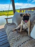 processed/71b14253-9ee1-4589-b751-29b07f515036/facility/e2a339ec-5ba1-442f-a28e-3b3c88d74c44