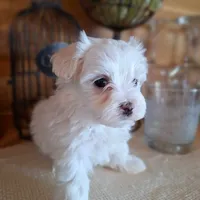 processed/71b14253-9ee1-4589-b751-29b07f515036/facility/f76ceb01-55a5-4af9-9627-8b53f73227d1