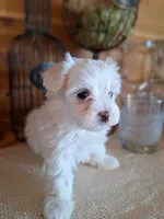 processed/71b14253-9ee1-4589-b751-29b07f515036/facility/f76ceb01-55a5-4af9-9627-8b53f73227d1