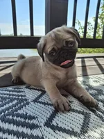 processed/71b14253-9ee1-4589-b751-29b07f515036/listing/017c0b08-decc-4c7a-8fb1-218c004ee92f/3cdf0f3a-5167-444a-b810-e39b3357afb8