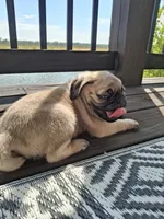 processed/71b14253-9ee1-4589-b751-29b07f515036/listing/017c0b08-decc-4c7a-8fb1-218c004ee92f/8fb14c3e-4511-4374-b648-000622c15d10