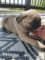 processed/71b14253-9ee1-4589-b751-29b07f515036/listing/017c0b08-decc-4c7a-8fb1-218c004ee92f/9cbb493d-d8e6-4785-8f8c-8d0fcb2f55db