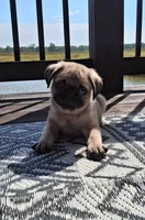 processed/71b14253-9ee1-4589-b751-29b07f515036/listing/017c0b08-decc-4c7a-8fb1-218c004ee92f/bb00071d-0f60-4775-9c88-8f6751553e9c