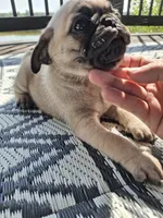 processed/71b14253-9ee1-4589-b751-29b07f515036/listing/017c0b08-decc-4c7a-8fb1-218c004ee92f/bb5f25e4-c553-499f-ab1e-5cacfcca47dd